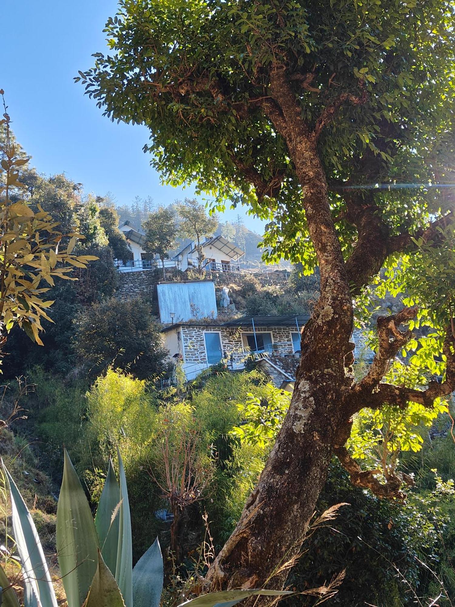 Himwanderer Camps & Cottages Pangot Nainital Εξωτερικό φωτογραφία